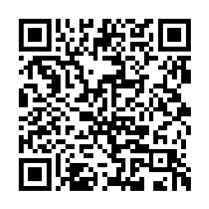 就在大家打鸡血似得显摆自己结实的身材的时候二维码生成