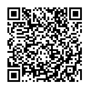 就在大殿内的诸位太上长老惶恐不已觉得这次宗门要面临灭顶之灾的时候二维码生成