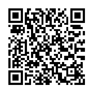 就在她一不小心的冲动中变成了天元的公费……二维码生成