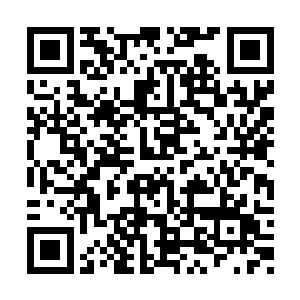 就在她以为王管家会说没有或是犹豫不决的时候二维码生成