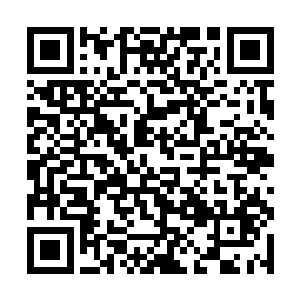 就在她对这个世界的一切产生一种茫然无措的迷惘时二维码生成