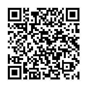 就在她的红唇和他惨白的唇瓣只剩下零点零一分之际二维码生成