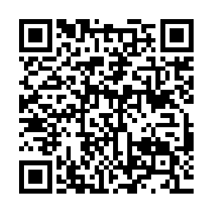 就在孙子轩那双肥肉丰厚的嘴唇快要亲上赵嫣儿的樱桃小嘴时二维码生成