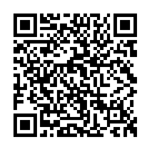 就在容觐以为一动不动的萧黎应该已经睡着了时二维码生成