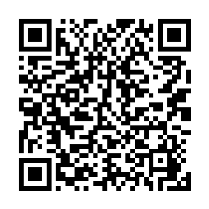 就在密布刀剑的龙卷风暴即将把李耀和血色心魔彻底撕碎时二维码生成