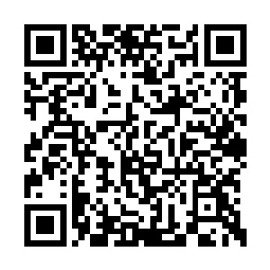 就在对方用涂着猩红指甲油的长长指甲掐自己时二维码生成