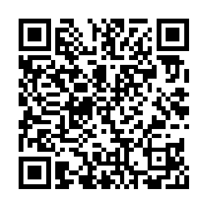 就在小二比蓄势待发准备咬向拓跋海脚腕的时候二维码生成