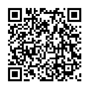 就在巴克艰难腾出一只手过来拍拍叶卡琳娜的头二维码生成