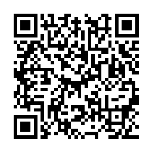 就在张小凡想要抓住阿龙的脚腕将阿龙甩飞的时候二维码生成