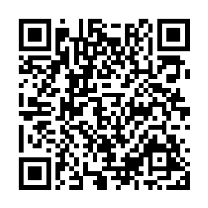 就在张潇晗以为她要奋不顾身转身营救幼兽的时候二维码生成