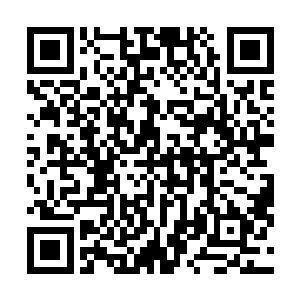 就在我不断的沿着我挖的这块血檀木开始往中间挖的时候二维码生成