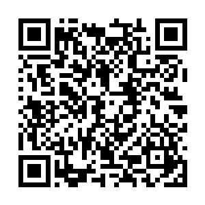 就在我们转回到了之前那个堆满了鸡尸体的转角处二维码生成