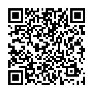 就在我刚准备提醒李念君这李相濡给的四个仙长席位的时候二维码生成