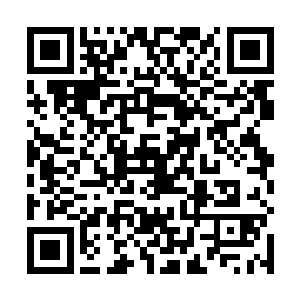 就在我要被后妈浮夸的演技刺激得快要看不下去的时候二维码生成