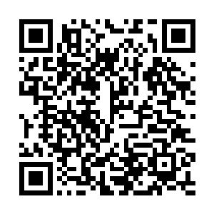 就在我觉得越来越纳闷儿的时候雅文又继续开口说道二维码生成