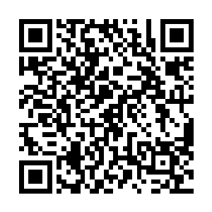 就在所有人以为萧雨可以凭借白玉箫有压倒性的战斗力时二维码生成