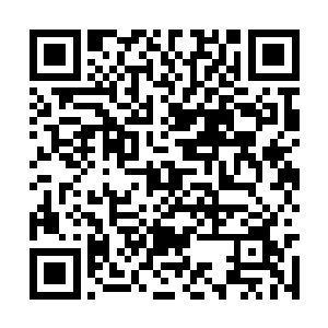 就在所有人做好了随时射击拔刀战斗的准备的时候二维码生成