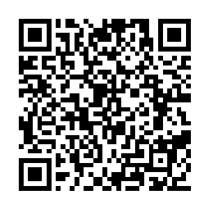 就在所有人都以为方凌已经逃离了南楚国的时候二维码生成