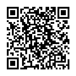 就在所有人都以为诸小卫要被狠狠砸地上砸半死的时候二维码生成