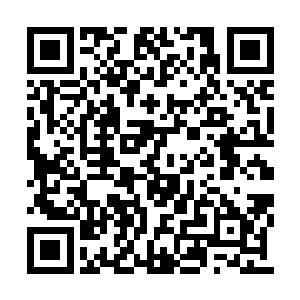 就在所有人都以为麒麟要重重的落在地上的时候二维码生成