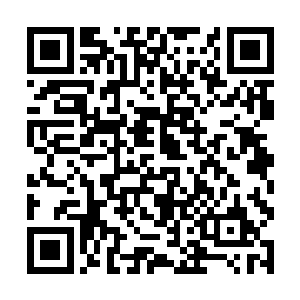 就在整个南方的目光都聚集在了庞博之海沿岸的时候二维码生成