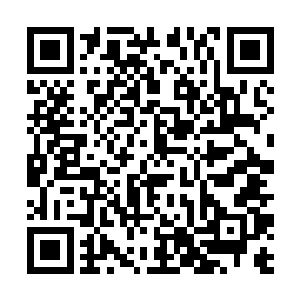 就在整个海族都在为接下来要进行的决斗期待的时候二维码生成