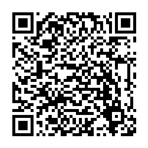 就在普通人在为一下子见到如此多四英五杰中人感到欢呼雀跃的时候二维码生成