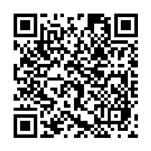 就在月鼎天准备让一干疲惫的下人收拾了下去休息之时二维码生成