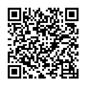 就在杀星神武和天神正紧张方恒会怎么对付他们的时候二维码生成