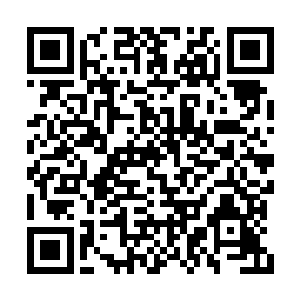 就在李元日和梁红梅在医院里上上下下做检查时二维码生成