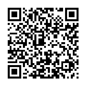 就在林辰刚刚坐在客厅的沙发上还没几分钟的时间二维码生成