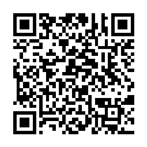 就在楚旬因为可以感知到自身能量而欣喜若狂的时候二维码生成