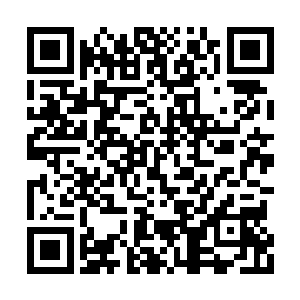 就在楚旬等人因为金翅大鹏鸟的消息而震惊不已二维码生成