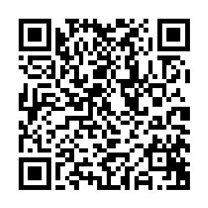 就在楚旬等人都在为这机械巨兽的可怕摸样而感到震惊的时候二维码生成