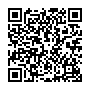 就在江寒楼和冷血君拜访过华夏九而未果的半个月之后二维码生成