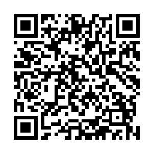 就在洪涛和韩雪在车库里检查越野车悬挂系统质量的时候二维码生成