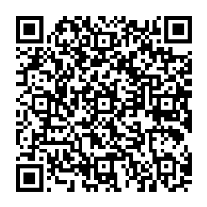 就在流墨墨顺在湖边慢慢走四处打量的时候三双好奇的小眼睛也躲在树冠高处打量着她二维码生成