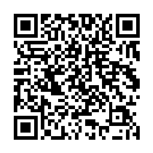 就在海阳县全县上下都为三天后的一号公路开工典礼忙活时二维码生成