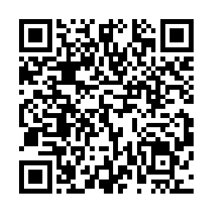 就在熊孩子等人准备将那些资源城镇中的无辜子民全部带走二维码生成