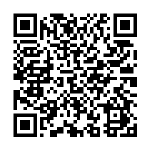 就在燕飞晴将那条金色的蜈蚣还有那个少女震碎的同时二维码生成