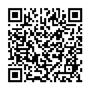 就在玉成子以为自己已永久失去那段机缘的时候二维码生成