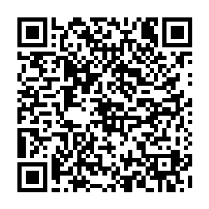 就在理查德一家子参观完整个小院并且各自的分好了卧房之后的大约一个小时二维码生成