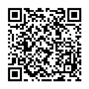 就在申沐风的手掌狠狠地插在一个猴子的头颅上时二维码生成