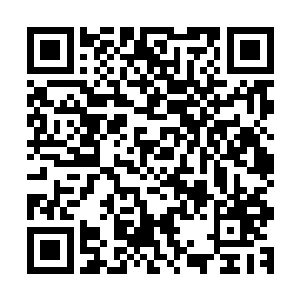 就在破开那个僵尸的时候突然之间在我的身前出现了一个僵尸二维码生成