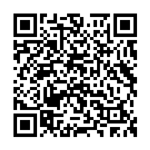 就在秦宇和白起商量好了明天的一些细节事情后二维码生成