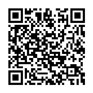 就在第一笔补助资金从省财政厅里拨出来的时候二维码生成