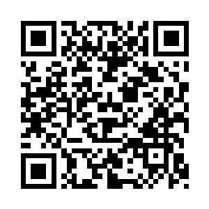 就在红色岩石上生长了几株艳红艳红的植物二维码生成