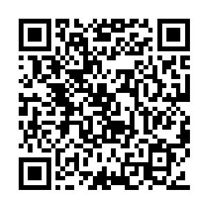 就在老虎扑过来的一瞬一下子扑到了老虎的脸上二维码生成