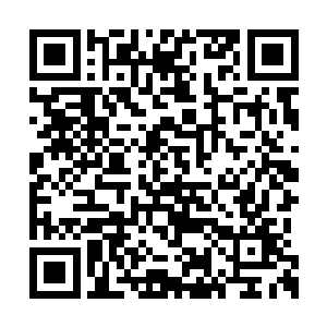 就在胡烈觉得自己的身体马上就要被灵气给充满二维码生成