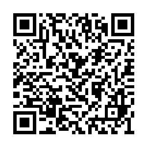 就在舍伍德等人疑惑自己是不是大获全胜的时候二维码生成